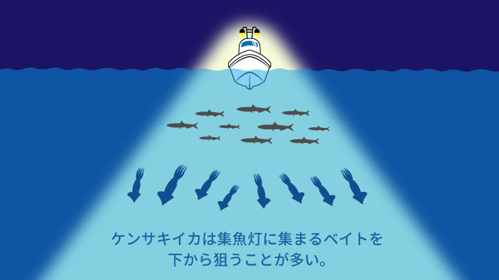 1685682666301009.jpeg upper_95_img01.jpeg