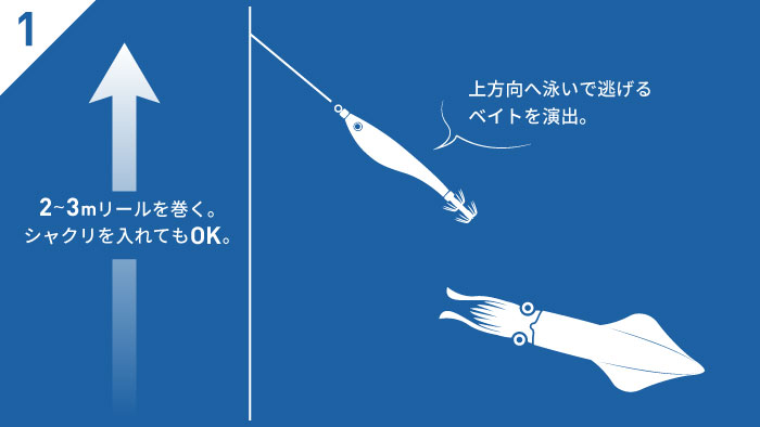 1685682910392648.jpeg upper_95_img06.jpeg