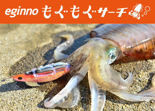 1685949830868852.jpeg p603_tokutyou_01.jpeg