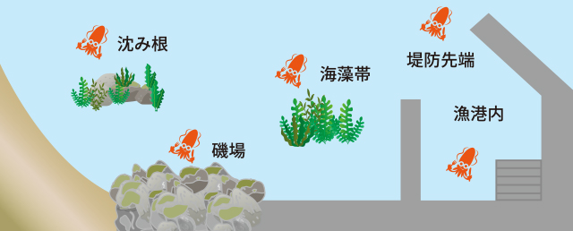 1685950280124594.jpeg p603_tokutyou_05.jpeg