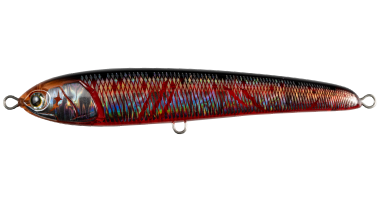 1724388394922012.png rpd160_002.png